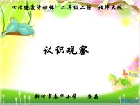 小学心理健康北师大版（2013）二年级上册第十七课 学会观察评课ppt课件