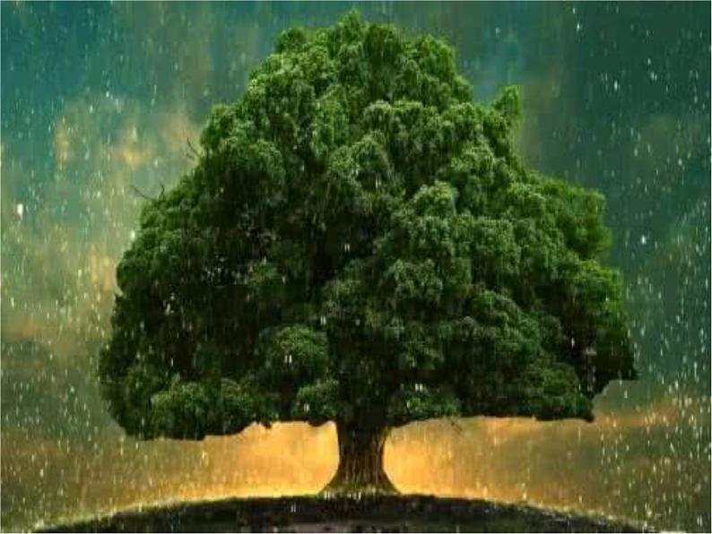 小学心理健康教育 北师大版 四年级下册 记忆“偏方” 记忆加油站 课件05