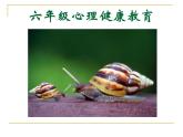 北師大心理健康六上 1 興趣為學習導航  課件PPT