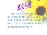 北師大心理健康六上 6 健康上網快樂多 課件PPT