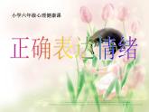 北师大心理健康六上 9 正确表达情绪 课件PPT