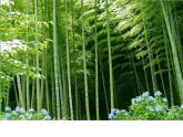 北師大心理健康五上 第7課 我是獨一無二的 課件PPT