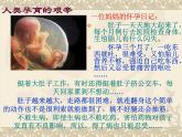 六年級下冊心理健康課件－14珍愛自己 ｜北師大版