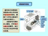 小学 五年级 心理健康 我的情绪我做主 课件