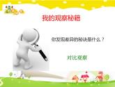 鄂科版心理健康二年级 第十课 发现差异 课件PPT
