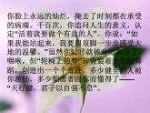 鄂科版心理健康四年级 第九课 在挫折中成长 课件PPT