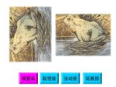 鄂科版心理健康五年级 第二课 创新学习快乐多 课件PPT