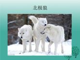 鄂科版心理健康五年级 第十二课 经得住诱惑的考验 课件PPT
