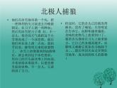 鄂科版心理健康五年级 第十二课 经得住诱惑的考验 课件PPT