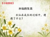 北师大心理健康六上 12 心灵的挑战 我们的约定 课件PPT