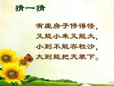 二年級(jí)上冊(cè)心理健康教育課件－17學(xué)會(huì)觀察 ｜北師大版  (共16張PPT)