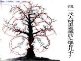 二年級(jí)上冊(cè)心理健康教育課件－17學(xué)會(huì)觀察 ｜北師大版  (共16張PPT)