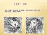 华中师大版四年级心理健康 14.假如我是他 课件PPT