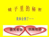 华中师大版五年级心理健康 11.有话好好说 课件PPT