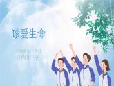 《珍爱生命》课件PPT+教案