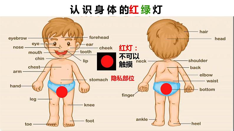 小学心理健康 一年级 身体红绿灯 课件第6页