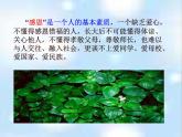 《學(xué)會(huì)感恩與愛同行》主題班會(huì)