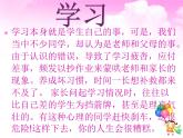 辽大版 五上心理健康 第十课 社会生活守则 课件PPT