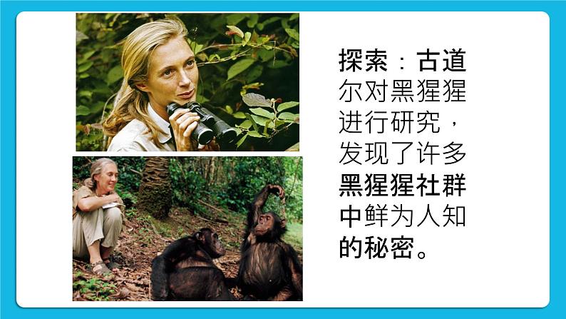 鲁画报社版心理健康三下 1 爱探索，爱发现 课件PPT+教案06