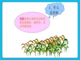 23《創(chuàng)意無限好》課件＋教案