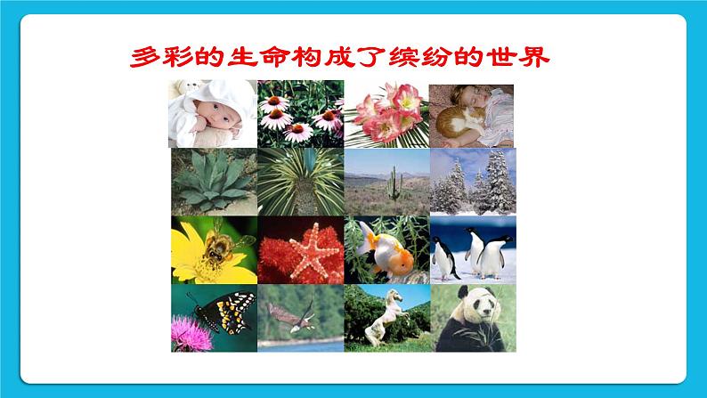 32《珍爱自己》课件＋教案04