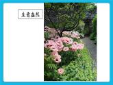 32《珍愛自己》課件＋教案