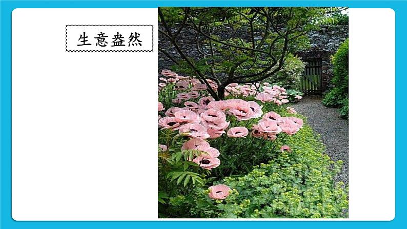 32《珍爱自己》课件＋教案05