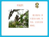 30《自己的事自己做》課件＋教案＋素材