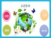 《珍爱生命》课件＋教案＋素材