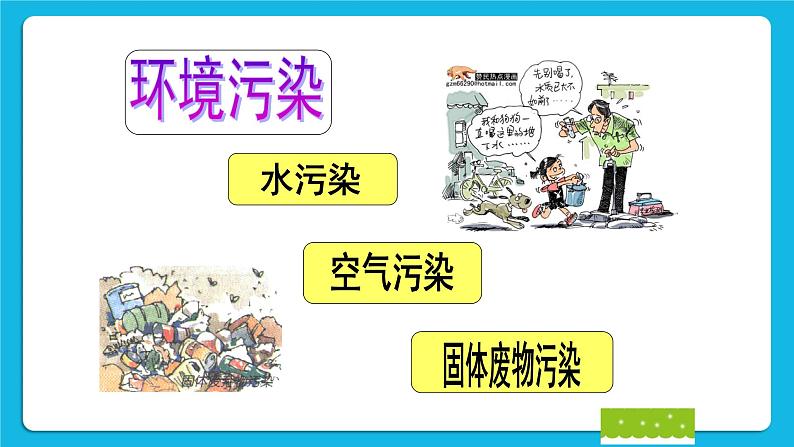《我是环保小明星》教学课件第3页