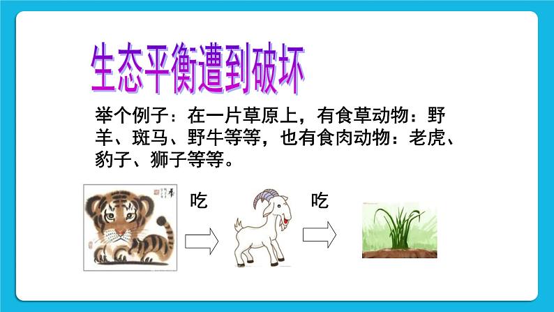 《我是环保小明星》教学课件第7页