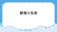 小学心理健康北师大版（2013）二年级下册第二十五课 爱惜小生命优秀ppt课件