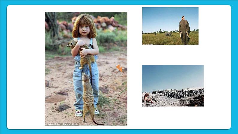 25《爱惜小生命》课件＋教案08