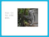 30《自己的事自己做》課件＋教案＋素材