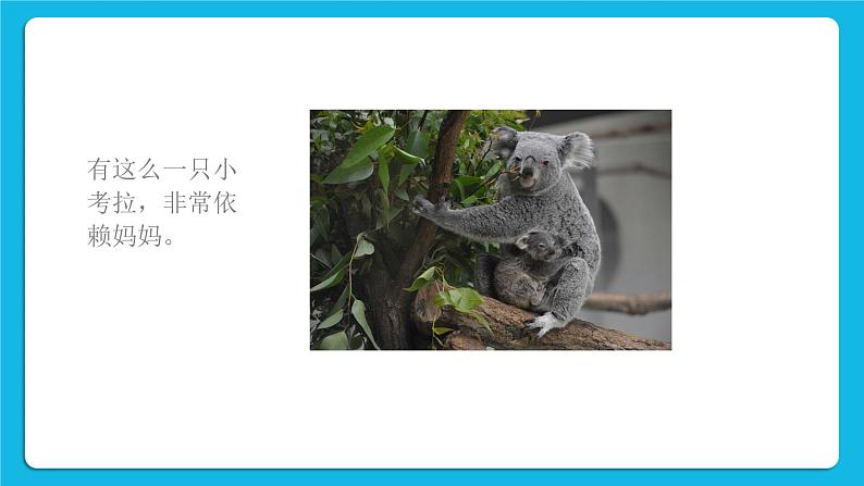 30《自己的事自己做》课件＋教案＋素材03