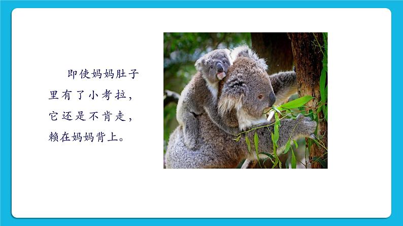 30《自己的事自己做》课件＋教案＋素材04