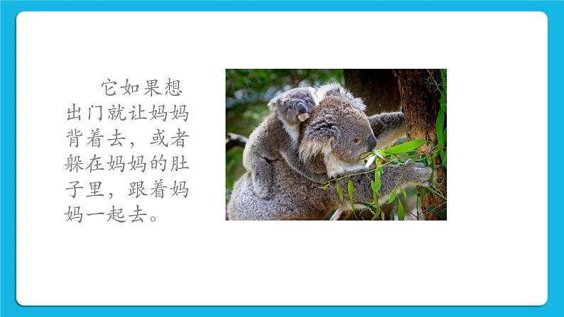 30《自己的事自己做》课件＋教案＋素材05