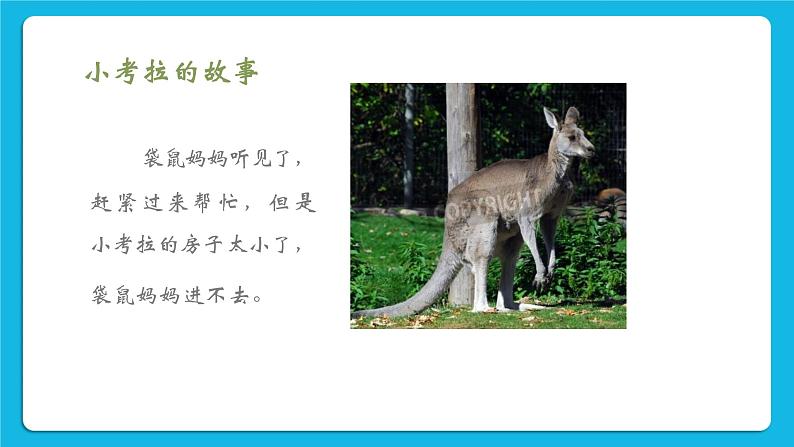 30《自己的事自己做》课件＋教案＋素材08