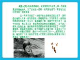 20《成功贵在坚持》课件