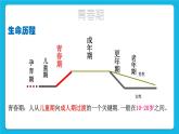 34《青春的脚步悄悄来临》课件