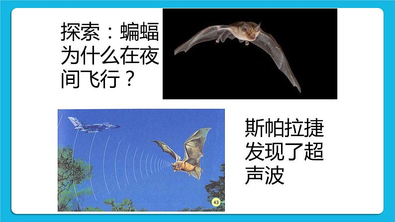 1 爱探索，爱发现 课件＋教案05