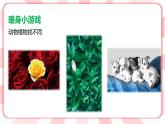 第十五課  走進(jìn)大自然 教學(xué)課件-一年級(jí)全一冊(cè)小學(xué)心理健康（南大版）課件＋教案