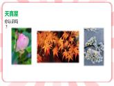 第十五課  走進(jìn)大自然 教學(xué)課件-一年級(jí)全一冊(cè)小學(xué)心理健康（南大版）課件＋教案