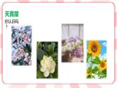 第十五課  走進(jìn)大自然 教學(xué)課件-一年級(jí)全一冊(cè)小學(xué)心理健康（南大版）課件＋教案