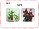 第十六课  爱惜小生命 教学课件-二年级全一册小学心理健康（南大版）课件