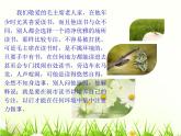 鲁画报社版一年级心理健康教育 7上课要专心 课件