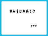 30《抵制欺骗》课件