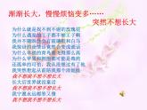 一年级心理健康教育课件-这就是我 武汉社版(共 PPT)