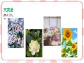 南大&北師大版一年級(jí)心理健康第十五課  走進(jìn)大自然 課件PPT