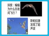 鲁画报社版心理健康三下 1 爱探索，爱发现 课件PPT